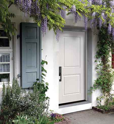 Alternative Door Image
